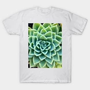 Green Star Succulent with Raindrops T-Shirt